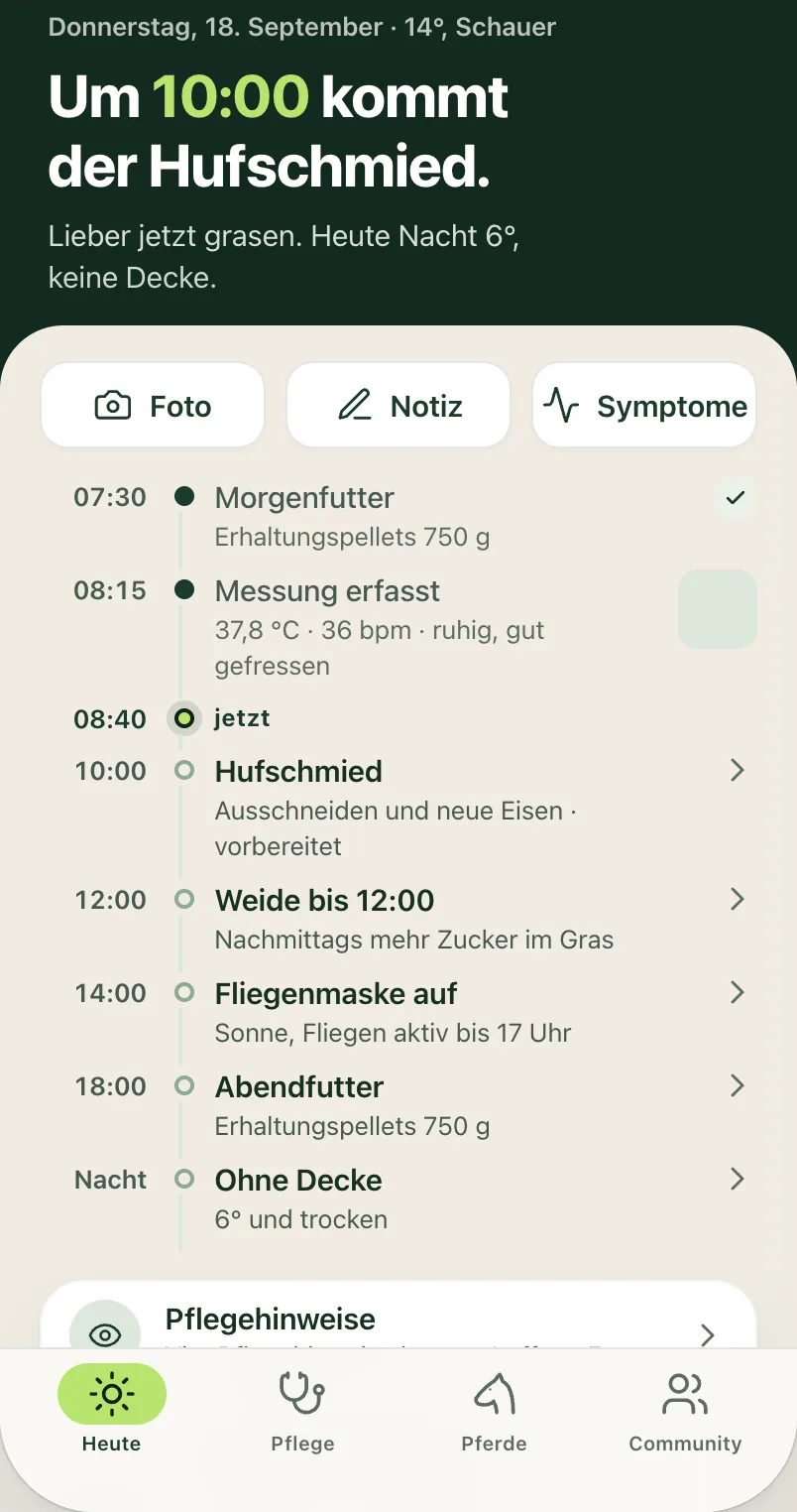 Entwurf der Heute-Ansicht mit Sterres Fütterungen, einer Messung und einem Hufschmiedtermin.