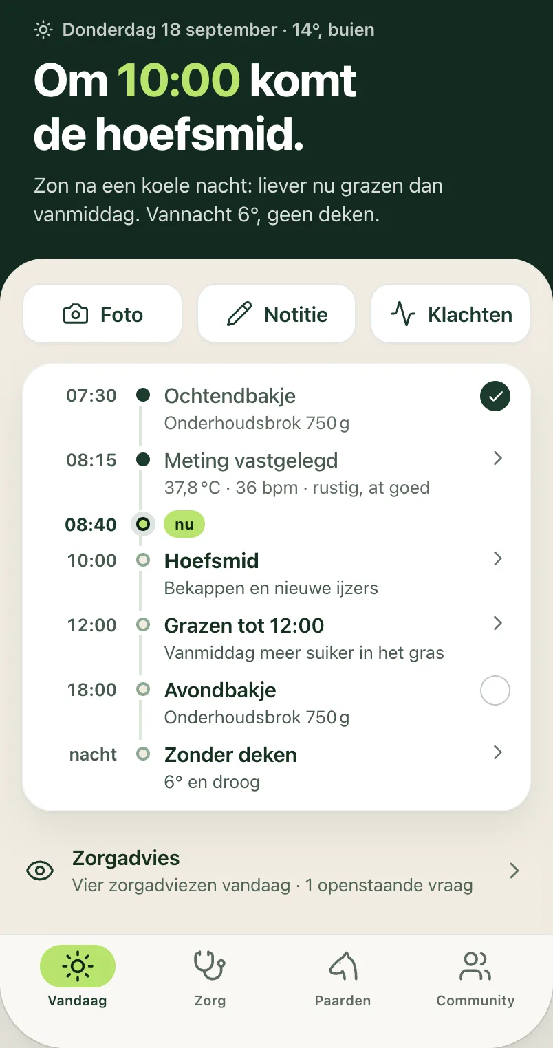 Ontwerp van Vandaag: Sterres voermomenten, meting en afspraak bij de hoefsmid.